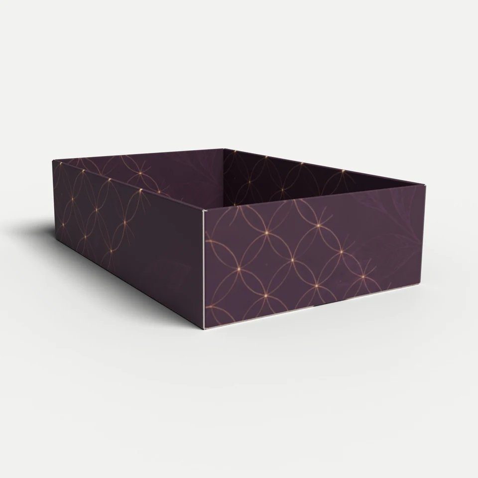 Presentation Tray — Four Double Wall (Variant A) · 3D box