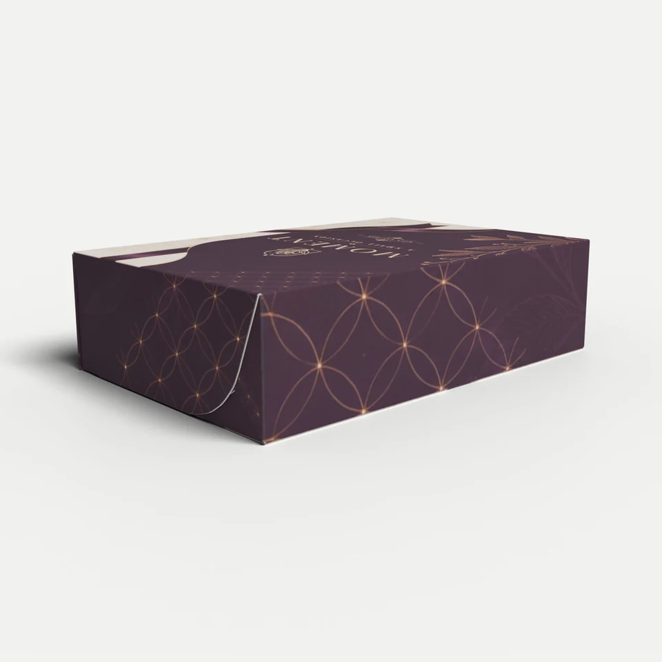 Gift Box — Fully Hook-Locked with Lid · 3D box